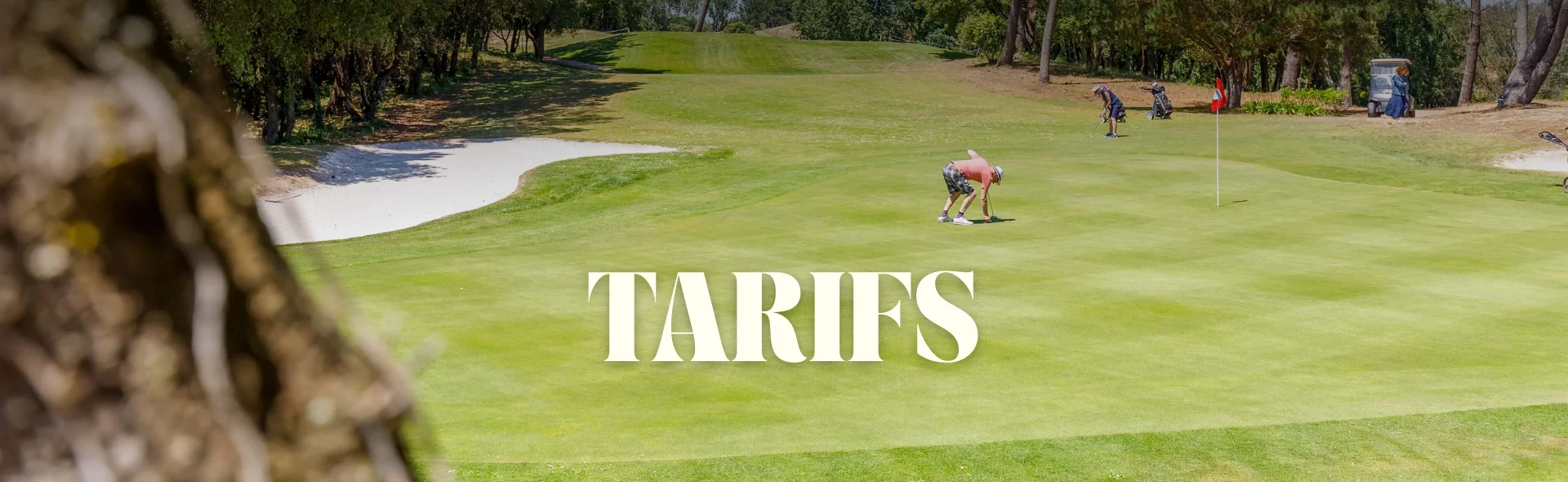 Bannière Tarifs