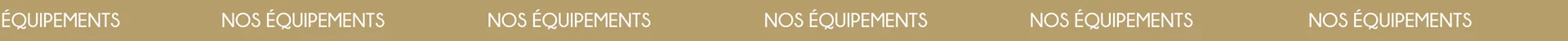 ORDI (10).png