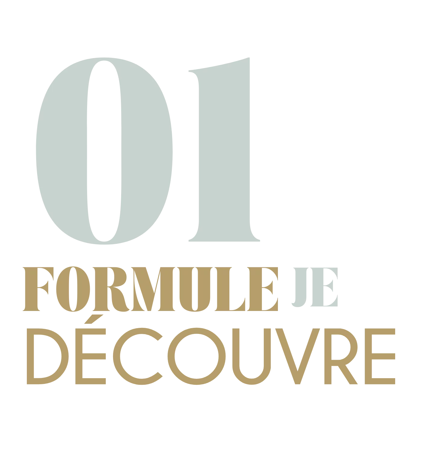 P.ACADEMIE - NICOLAS (2).png