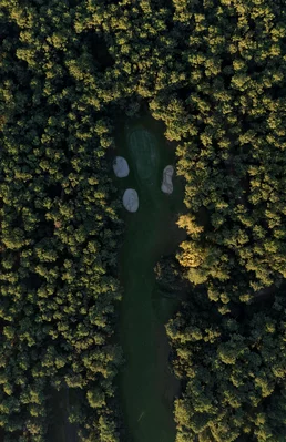 Photo drone of visuals - 19-min.jpg