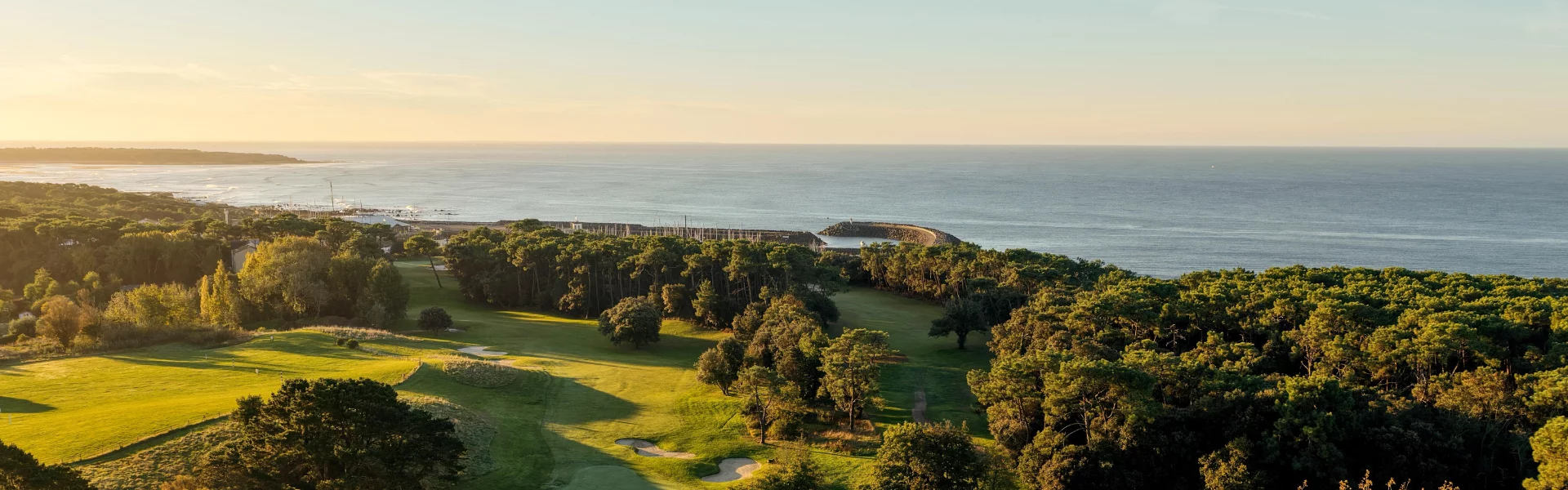 SITE WEB GREENHOUSE (88).png